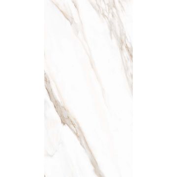 Керамогранит Tuscania Ceramiche (Тасканиа Керамише) White Marble Calacatta Oro ректификат 61x122,2 см, R63WMCA