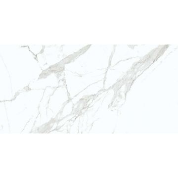 Керамогранит Eurotile IND (Евротайл Инд) Sig Statuario Glossy 60x120 см, 7930138702503
