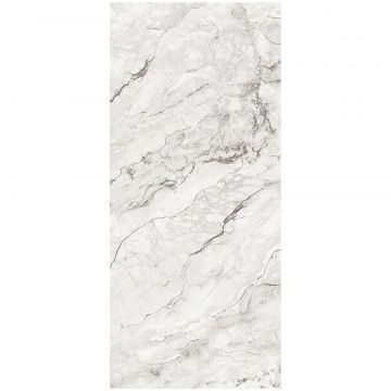 Керамогранит Coverlam Camouflage Natural 120х280 см серый матовая 78O138E