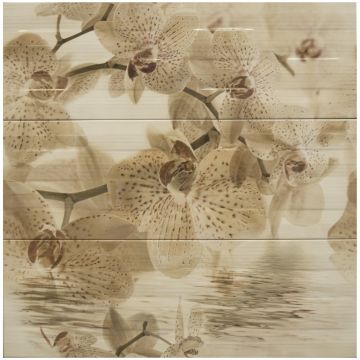 Декор Маллол Paris 75х75 см кремовый, бежевый глянцевая MLL000021, Composicion Orquidea Beige, Mallol