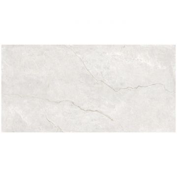 Керамогранит Океан Керамик India 120х60 см серый OC0000215, Infinity Venetian Blanco, Ocean Ceramic