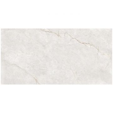 Керамогранит Океан Керамик India 120х60 см серый OC0000215, Infinity Venetian Blanco, Ocean Ceramic