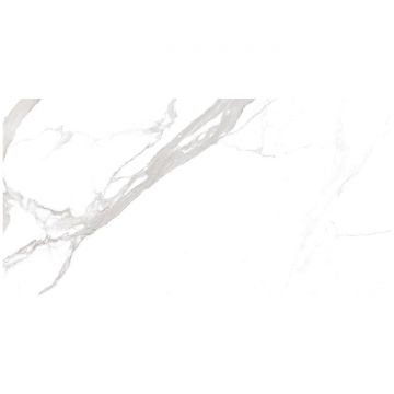 Керамогранит Океан Керамик India 120х60 см белый, серый матовая OC0000213, Statuario Orindo, Ocean Ceramic