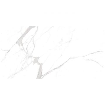 Керамогранит Океан Керамик India 120х60 см белый, серый матовая OC0000213, Statuario Orindo, Ocean Ceramic