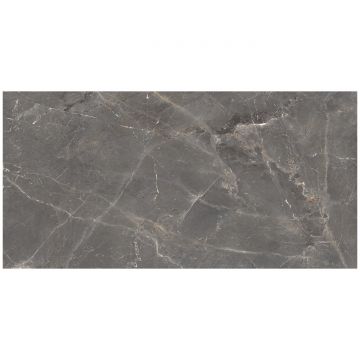 Керамогранит Океан Керамик India 120х60 см серый OC0000117, Tulip Grey, Ocean Ceramic