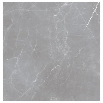 Керамогранит Океан Керамик Iran 20 мм 59,7х59,7 см серый матовая IRN000041, Arion Gray Dark, Ocean Ceramic