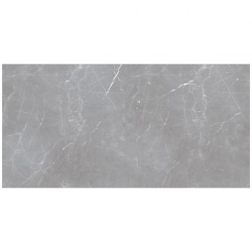 Керамогранит Океан Керамик Iran 20 мм 121х61 см серый матовая IRN000050, Arion Gray Dark, Ocean Ceramic