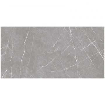 Керамогранит Океан Керамик Iran 120х60 см серый матовая IRN000004, Apana Dark Grey, Ocean Ceramic