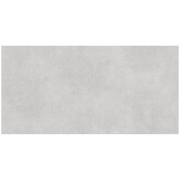 Керамогранит Океан Керамик Millenium 120х60 см серый матовая IRN000057, Light Gray, Ocean Ceramic