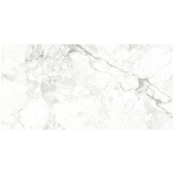 Керамогранит India 120х60 см белый, серый матовый OC0000176, Breccia Bianco