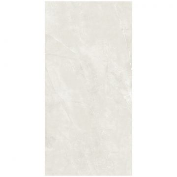 Керамогранит Сина Nismo 120х60 см серый полированный, Grey Polish, 2666, Sina