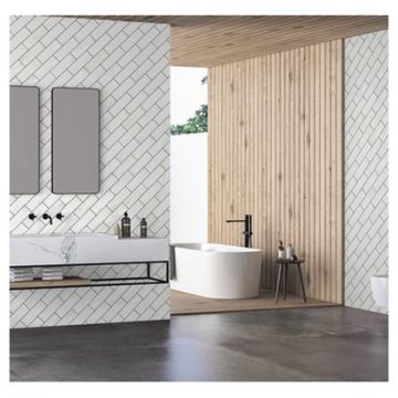 Керамогранит Энфейс Camelot / Colour (однотонная) 22,5х7,5 см белый ENCLR6058GL722, White, Ennface