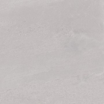 Керамогранит Kerama Marazzi (Керама Марацци) Про Матрикс Светло-серый матовый 60х60 см DD602020R