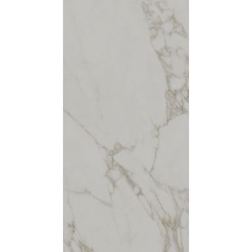 Керамогранит Kerama Marazzi (Керама Марацци) Монте Тиберио Светло-серый лаппатированный 60х120 см SG540722R