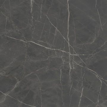 Керамогранит Kerama Marazzi (Керама Марацци) Буонарроти серый темный обрезной 60x60 см, SG642920R