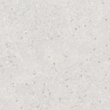 Керамогранит Kerama Marazzi (Керама Марацци) Терраццо Светло-серый матовый 60x60 см, SG632420R