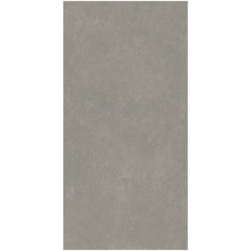 Керамогранит Керама Марацци Касабланка RP серый матовый обрезной 60x119,5x0,9 см KM6012G0101R