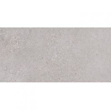 Керамогранит Lasselsberger (LB Ceramics) Трэверс Светло-серый матовый 30x60 см, 6260-0191-1001