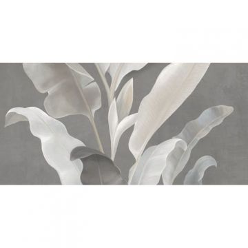 Декор Lasselsberger (LB Ceramics) Янссон Серый матовый 30x60 см, 7360-0018-1001