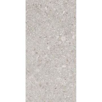 Керамогранит Lasselsberger (LB Ceramics) Иней серый 1200х600х8 мм, 6493-0136