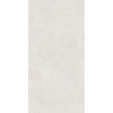 Керамогранит Lasselsberger (LB Ceramics) Иней светло-серый 1200х600х8 мм, 6493-0137