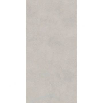 Керамогранит Lasselsberger (LB Ceramics) Иней темно-серый 1200х600х8 мм, 6493-0138