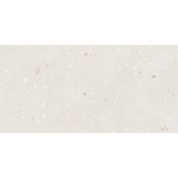 Керамогранит Lasselsberger (LB Ceramics) Экзюпери терраццо 600х300х8,5 мм, 6260-0184-1002