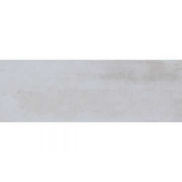 Керамическая Плитка Pamesa Ceramica (Памеса Керамика) Brienz Brienz Ceniza 33.3x100 см С0004760