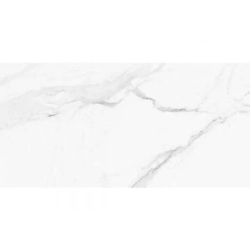 Керамогранит Pamesa Ceramica (Памеса Керамика) Calacata White 1 Rect. 60х120 см, ректификат (017.869.0001.12261)