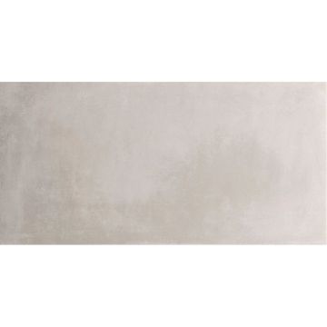 Керамогранит Pamesa Ceramica (Памеса Керамика) Es. Essen Ash Rect. (N) 45х90 см, ректификат (035.084.0344.00304)