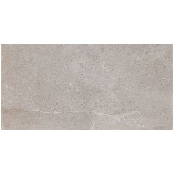 Керамогранит Pamesa Ceramica Erding Es.Erding Ash Luxglass 60х120 см серый глянцевая 050.869.0344.00714
