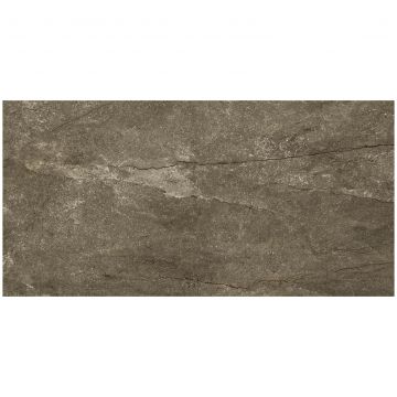 Керамогранит Pamesa Ceramica Wells M Moka Mate Rectificado 60х120 см коричневый матовая 017.869.0240.09871