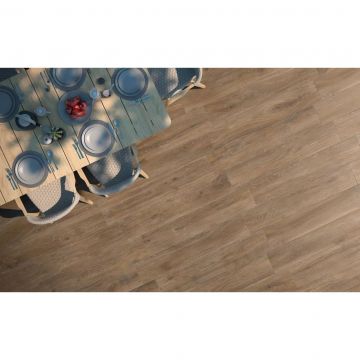 Керамогранит Prissmacer (Приссмасер) Trunk Honey 23х120 см