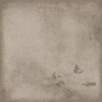 Керамогранит Prissmacer (Приссмасер) Life Fango Pulido 60х60 см