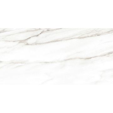 Плитка облицовочная Alma Ceramica (Альма Керамика) Euphoria 24,9х50 см TWU2550EPH04