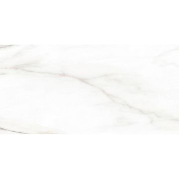 Плитка облицовочная Alma Ceramica (Альма Керамика) Euphoria 24,9х50 см TWU2550EPH04