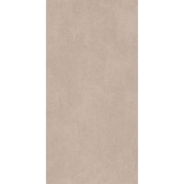 Керамогранит Alma Ceramica (Алма Керамика) Beton Pro матовый 60x120x0,85 см, GFU60120BTP40R