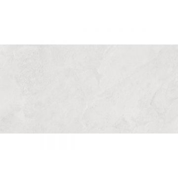 Керамогранит Laparet (Лапарет) Портер Сильвер Про светло-серый 59,5х119,1 см матовый структурный, LP6012G0171R