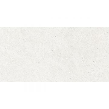 Керамогранит Laparet (Лапарет) Перла Бианко светло-серый 59,5х119,1 см матовый, CR6012G0481R