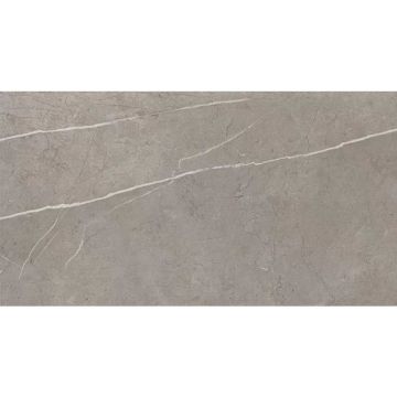 Керамическая плитка Atlas Concorde (Атлас Конкорд) Marvel Silver Dream (9P5S) 30,5x56 см