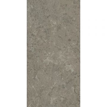 Керамогранит Atlas Concorde (Атлас Конкорд) Marvel Meraviglia Grigio Elegante Lappato (Ajhw) 60x120 см, лаппатированный