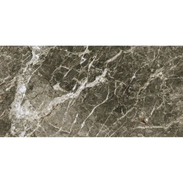 Керамогранит Atlas Concorde (Атлас Конкорд) Forte Dei Marmi Quark Breccia DI Caravaggio Rett Cer 60x120 см, ректификат