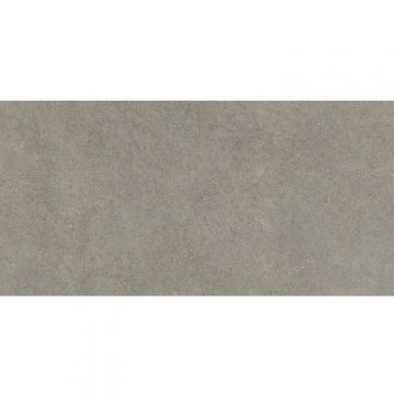 Керамогранит Atlas Concorde (Атлас Конкорд) Forte Dei Marmi Rock Lunar Grey Rett 60x120 см