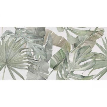 Плитка настенная Azori (Азори) Fortezza Foglia 31.5х63 см, 00-00108414