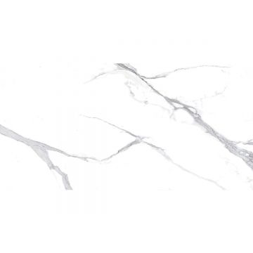 Керамогранит Ceradim (Керадим) Calacatta Splendid Silver белый 60х120 см полированный
