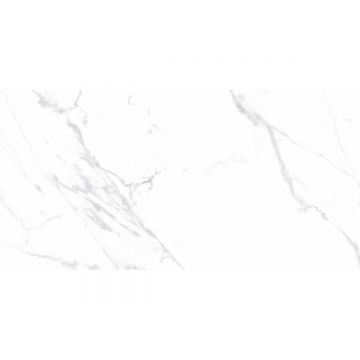 Керамогранит Ceradim (Керадим) Statuario Justice Grey белый 60х120 см матовый