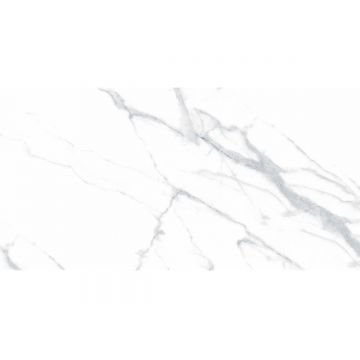 Керамогранит Ceradim (Керадим) Statuario Justice Grey белый 60х120 см полированный