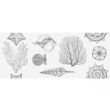 Плитка настенная Gracia Ceramica (Грация Керамика) Aqua white 01 25х60 см, 010100001536