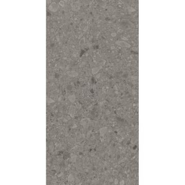 Керамогранит Argenta (Аргента) Flodsten Smoke CB Ungl 60х120 см, 8435592032979