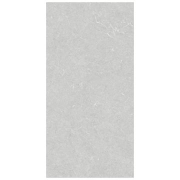 Базовая плита Аргента Bergstein 60х120 серый 8435592066929, Pearl Matt Argenta